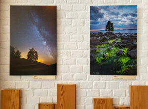 Exposition Le Havre, mai 2023, Spot Nature